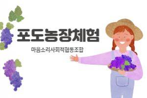 9월 방과후 외부활동 포도밭 농장체험